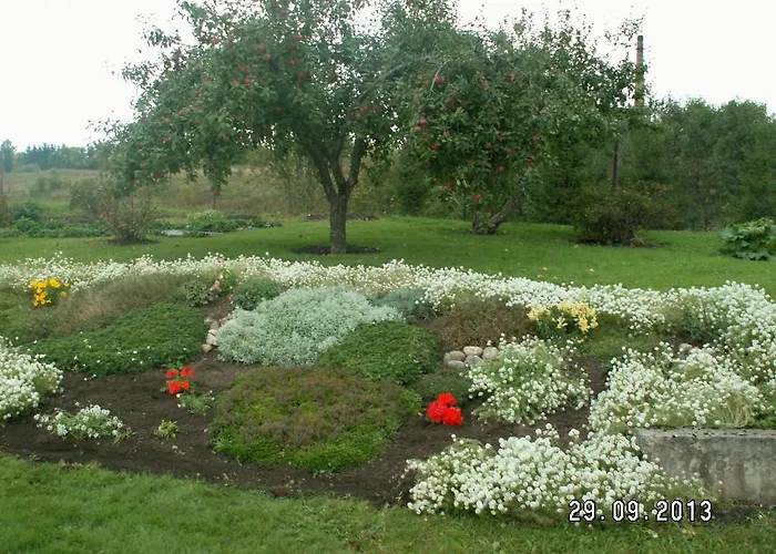 Habitación en casa particular Lepa *